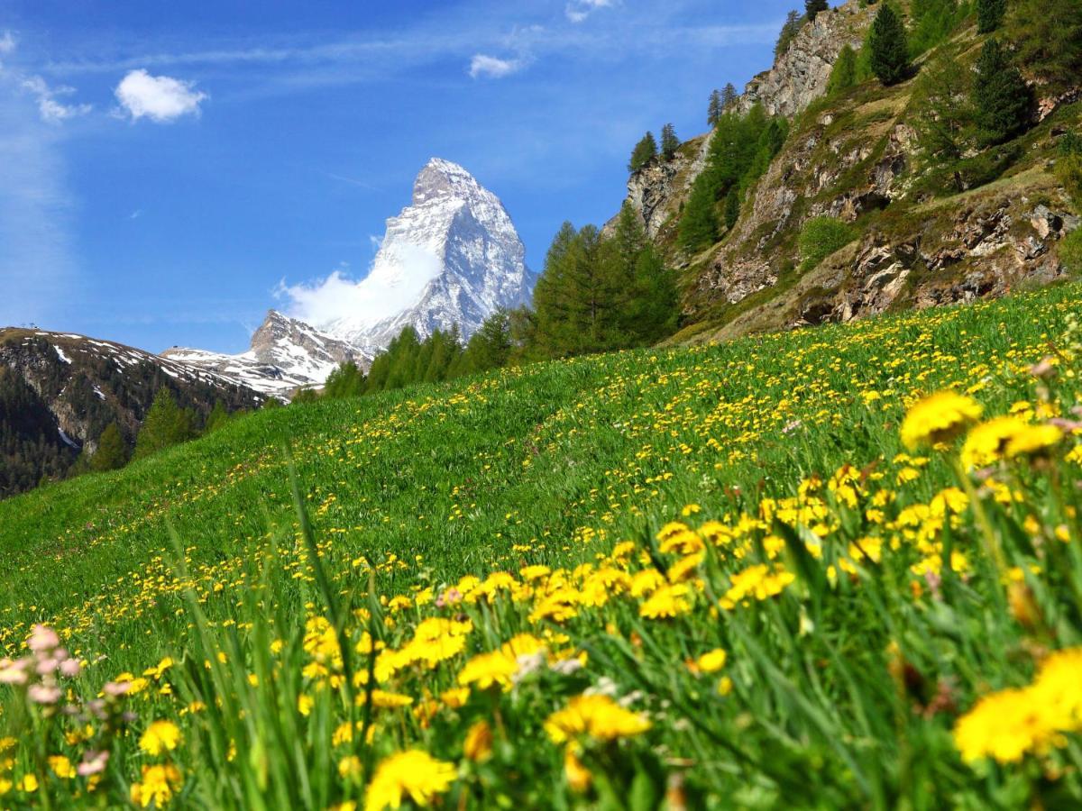 Apartment Obri Tuftra-7 By Interhome Zermatt Kültér fotó